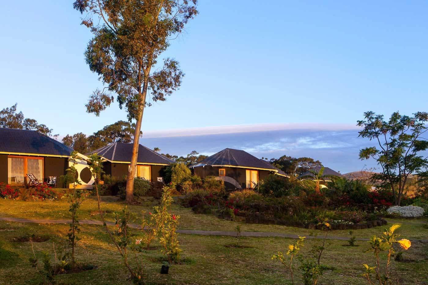 Altiplanico Rapa Nui Hotel Ханга Роа Екстериор снимка